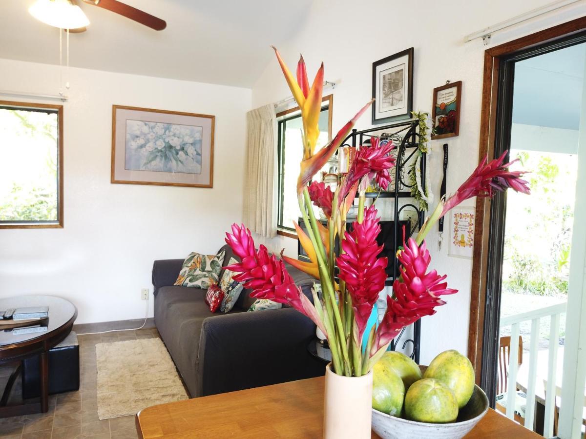 Hawaiian Ohana Home Hilo Exterior photo