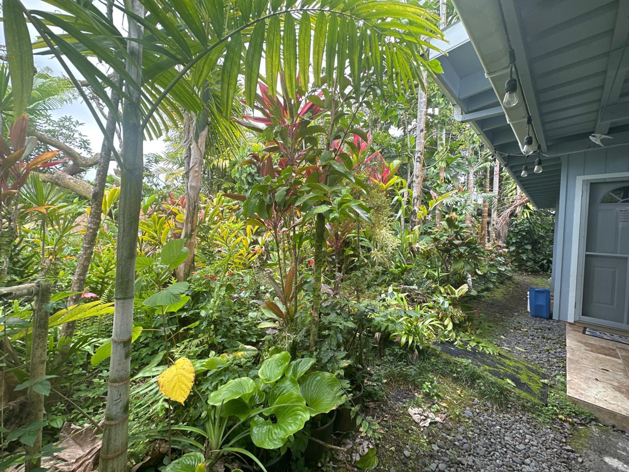 Hawaiian Ohana Home Hilo Exterior photo