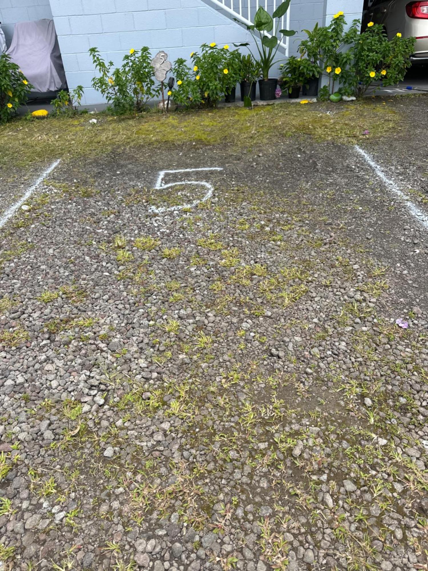 Hawaiian Ohana Home Hilo Exterior photo