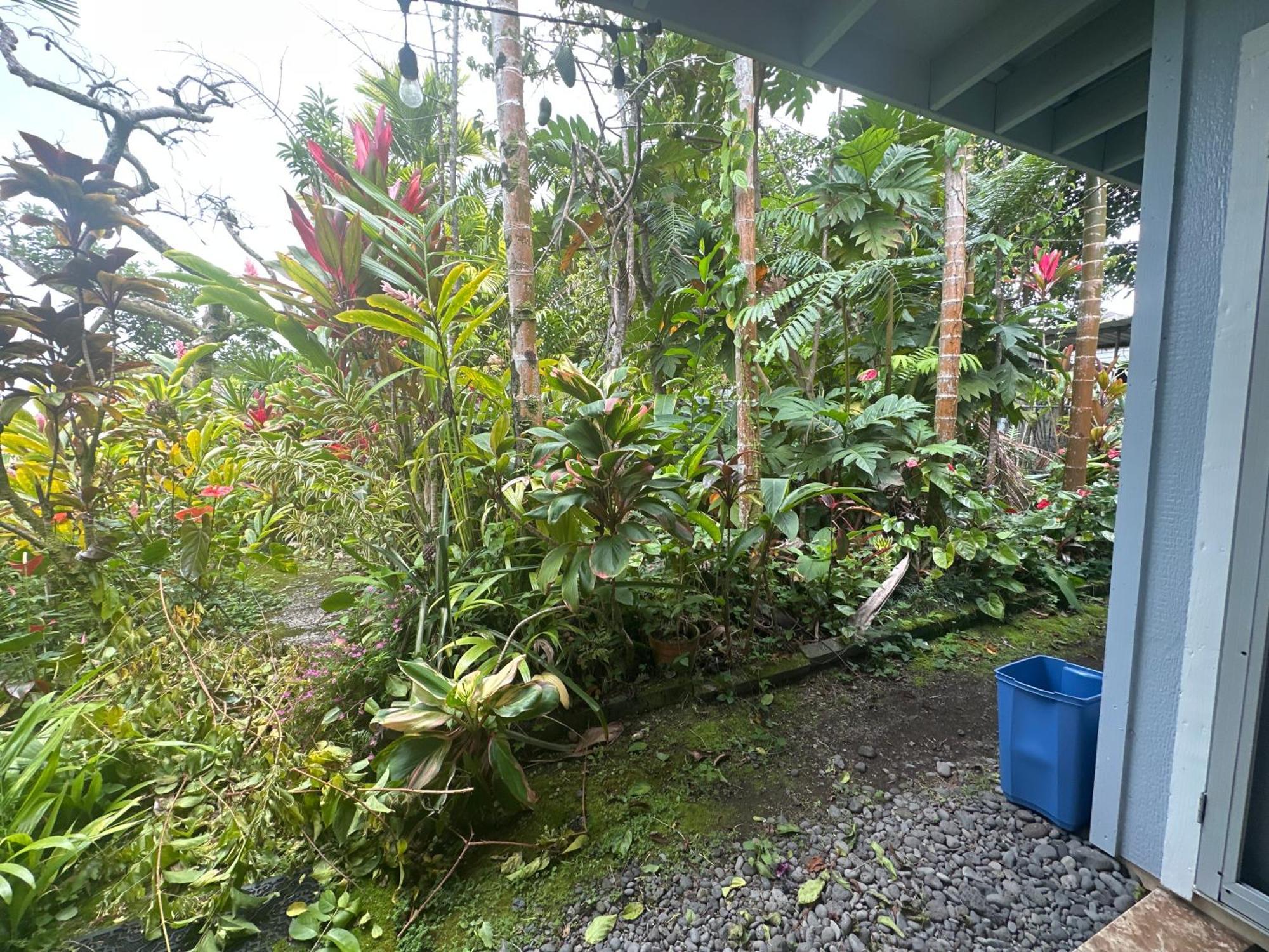 Hawaiian Ohana Home Hilo Exterior photo
