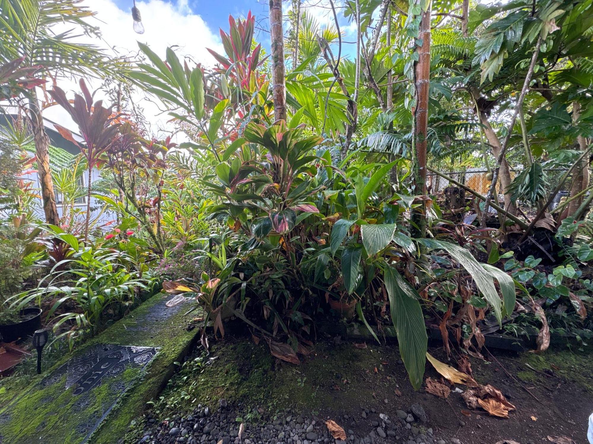 Hawaiian Ohana Home Hilo Exterior photo